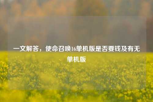 一文解答，使命召唤16单机版是否要钱及有无单机版