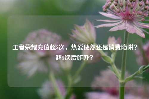 王者荣耀充值超5次，热爱使然还是消费陷阱？超5次后咋办？