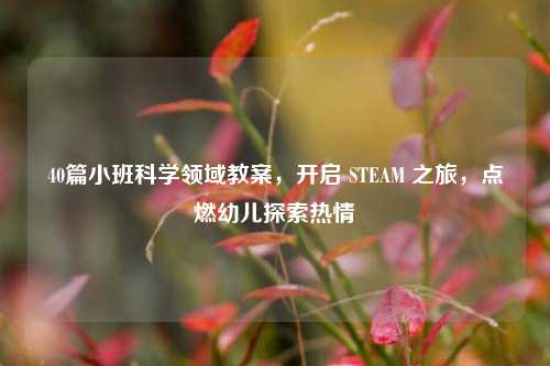 40篇小班科学领域教案，开启 STEAM 之旅，点燃幼儿探索热情