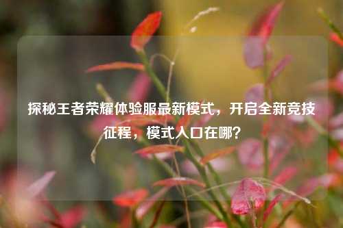 探秘王者荣耀体验服最新模式，开启全新竞技征程，模式入口在哪？