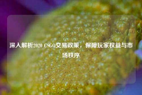 深入解析2020 CSGO交易政策，保障玩家权益与市场秩序