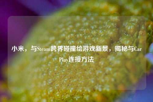 小米，与Steam跨界碰撞绘游戏新景，揭秘与CarPlay连接方法