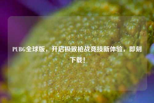 PUBG全球版，开启极致枪战竞技新体验，即刻下载！