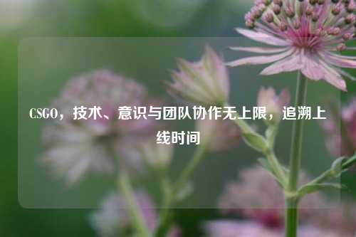 CSGO，技术、意识与团队协作无上限，追溯上线时间