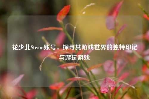 花少北Steam账号，探寻其游戏世界的独特印记与游玩游戏
