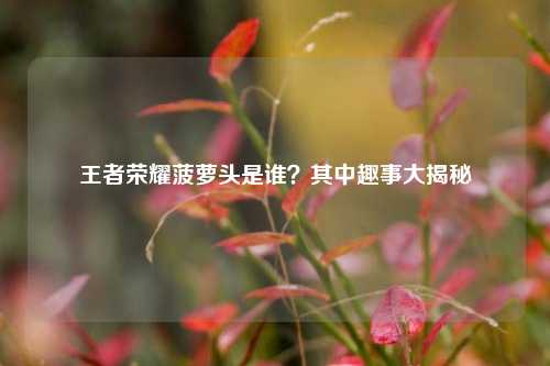 王者荣耀菠萝头是谁？其中趣事大揭秘