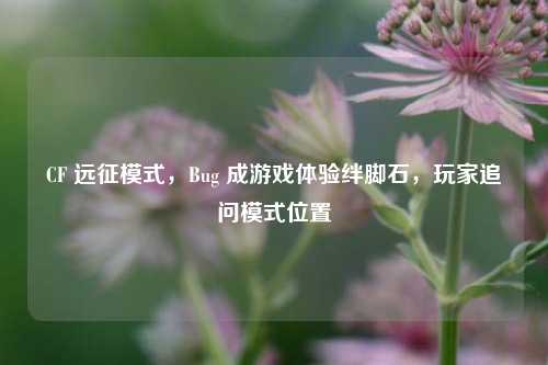 CF 远征模式，Bug 成游戏体验绊脚石，玩家追问模式位置