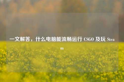一文解答，什么电脑能流畅运行 CSGO 及玩 Steam