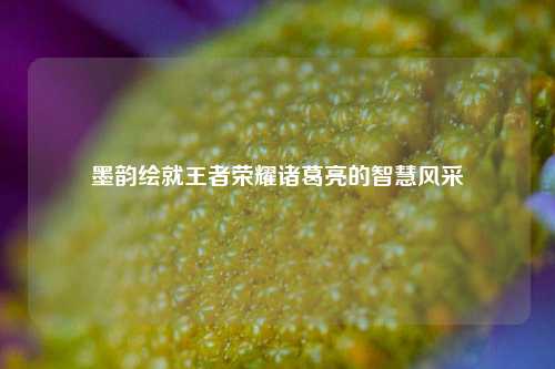 墨韵绘就王者荣耀诸葛亮的智慧风采