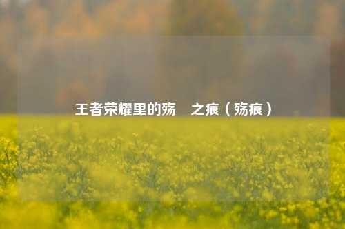 王者荣耀里的殇訫之痕（殇痕）