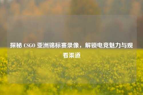 探秘 CSGO 亚洲锦标赛录像，解锁电竞魅力与观看渠道