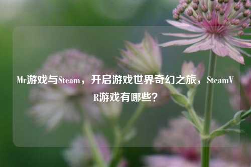 Mr游戏与Steam,开启游戏世界奇幻之旅,SteamVR游戏有哪些?