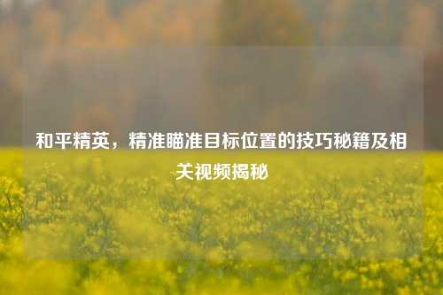 和平精英,精准瞄准目标位置的技巧秘籍及相关视频揭秘