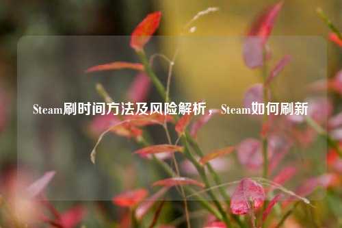 Steam刷时间方法及风险解析,Steam如何刷新