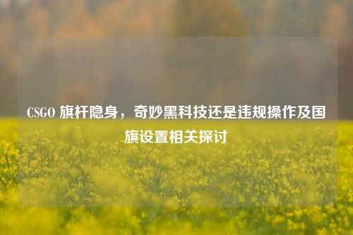 CSGO 旗杆隐身，奇妙黑科技还是违规操作及国旗设置相关探讨