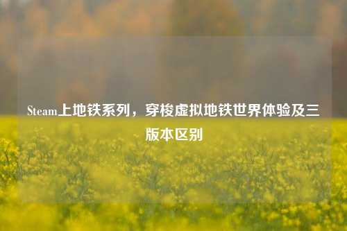 Steam上地铁系列，穿梭虚拟地铁世界体验及三版本区别