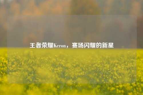 王者荣耀Keron,赛场闪耀的新星