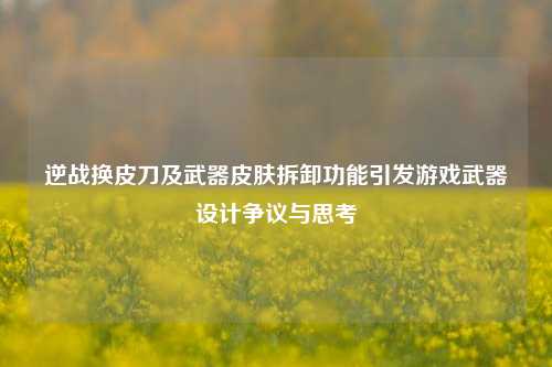 逆战换皮刀及武器皮肤拆卸功能引发游戏武器设计争议与思考