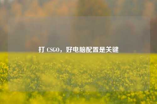 打 CSGO，好电脑配置是关键