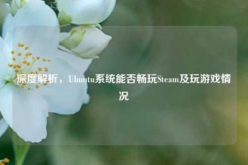 深度解析，Ubuntu系统能否畅玩Steam及玩游戏情况