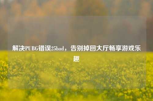 解决PUBG错误25bad,告别掉回大厅畅享游戏乐趣
