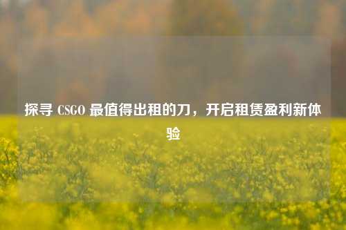 探寻 CSGO 最值得出租的刀，开启租赁盈利新体验