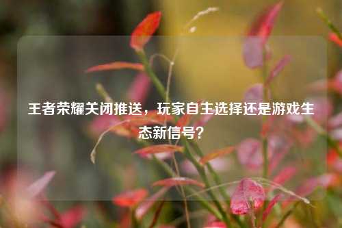 王者荣耀关闭推送，玩家自主选择还是游戏生态新信号？