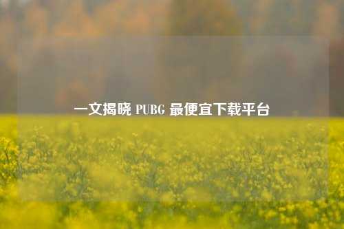 一文揭晓 PUBG 最便宜下载平台