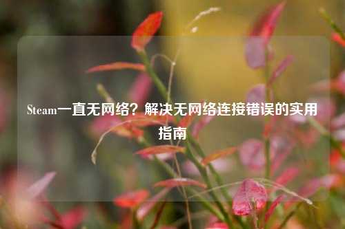 Steam一直无网络？解决无网络连接错误的实用指南