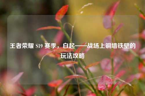 王者荣耀 S19 赛季，白起——战场上铜墙铁壁的玩法攻略