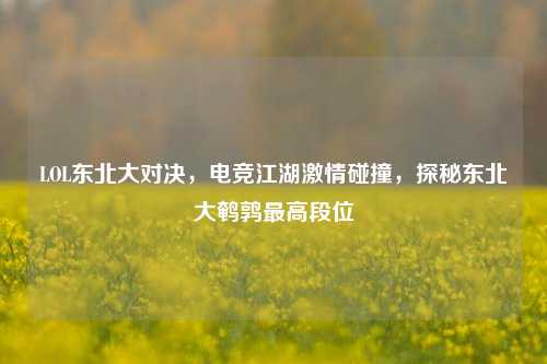 LOL东北大对决,电竞江湖激情碰撞,探秘东北大鹌鹑最高段位