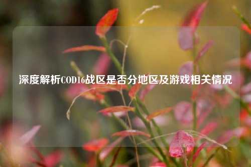 深度解析COD16战区是否分地区及游戏相关情况
