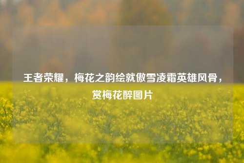 王者荣耀,梅花之韵绘就傲雪凌霜英雄风骨,赏梅花醉图片
