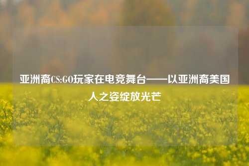 亚洲裔CS:GO玩家在电竞舞台——以亚洲裔美国人之姿绽放光芒