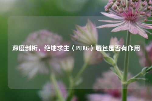 深度剖析，绝地求生（PUBG）腰包是否有作用