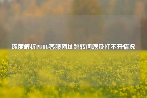 深度解析PUBG客服网址跳转问题及打不开情况