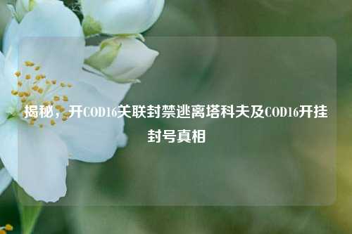 揭秘,开COD16关联封禁逃离塔科夫及COD16开挂封号真相