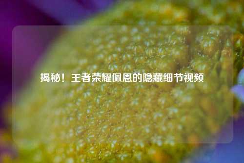揭秘！王者荣耀佩恩的隐藏细节视频