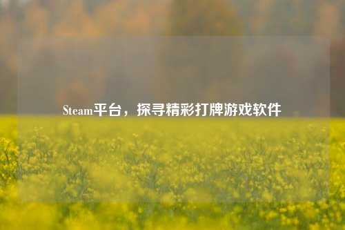 Steam平台,探寻精彩打牌游戏软件