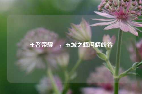 王者荣耀暃，玉城之辉闪耀峡谷