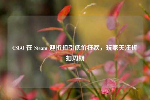 CSGO 在 Steam 迎折扣引低价狂欢，玩家关注折扣周期