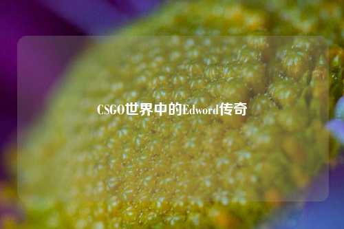 CSGO世界中的Edword传奇