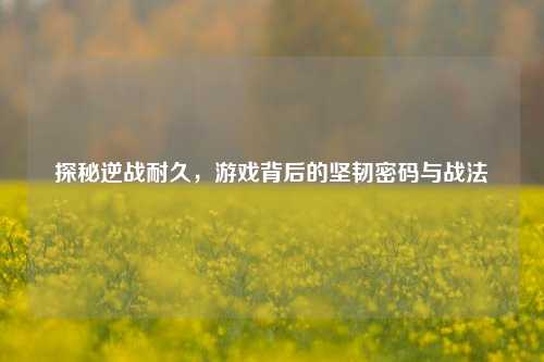 探秘逆战耐久，游戏背后的坚韧密码与战法