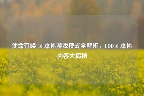 使命召唤 16 本体游戏模式全解析,COD16 本体内容大揭秘