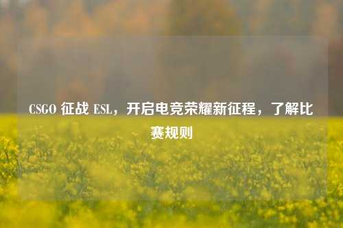CSGO 征战 ESL,开启电竞荣耀新征程,了解比赛规则