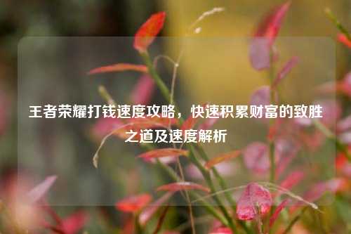 王者荣耀打钱速度攻略,快速积累财富的致胜之道及速度解析