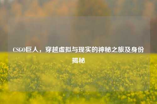 CSGO巨人，穿越虚拟与现实的神秘之旅及身份揭秘