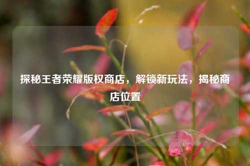 探秘王者荣耀版权商店，解锁新玩法，揭秘商店位置
