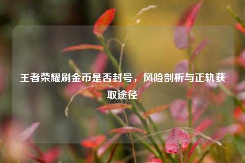 王者荣耀刷金币是否封号，风险剖析与正轨获取途径