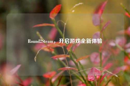 Round2Steam，开启游戏全新体验